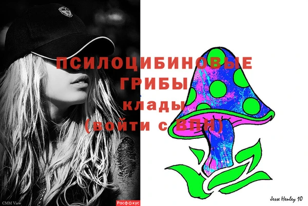 крисы Анжеро-Судженск