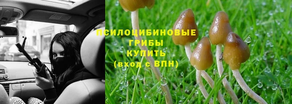 a pvp Михайловск